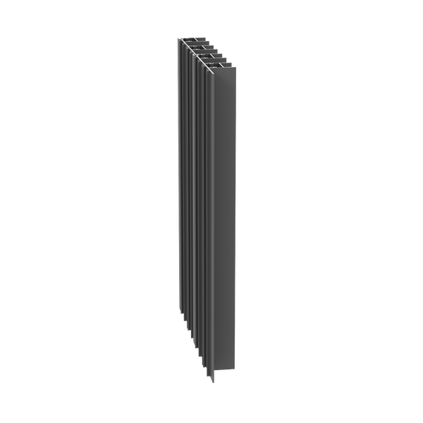 Paralline Fin