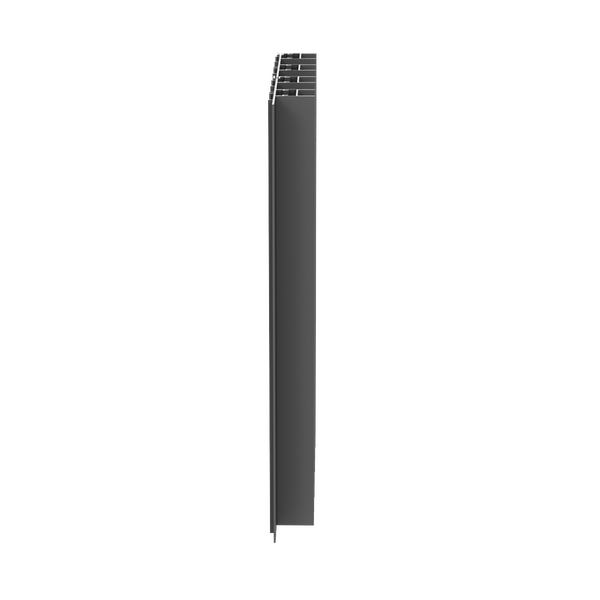 Paralline Fin