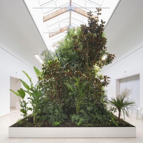 Building Biospheres by Bureau Bas Smets with Stefano Mancuso, Flanders Architecture Institute 2025 © Michiel De Cleene