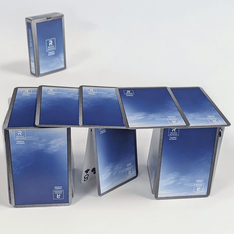 Doors & Pivot doors reynaers card game